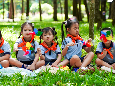 Hình ảnh lĩnh vực