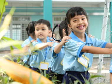 Hình ảnh lĩnh vực